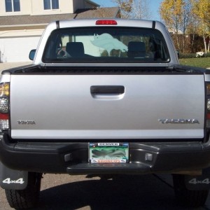 Rear view LED tail lights