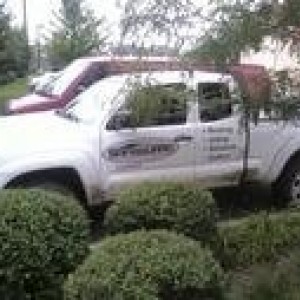 tacobush
