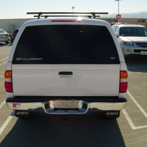 Back Shot