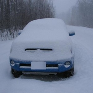 Toyota_Sonoma1