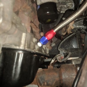 Oil drain fitting