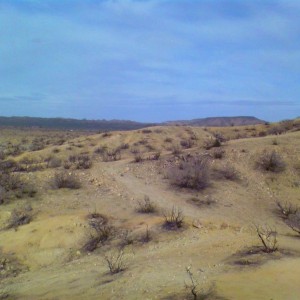IMG00064