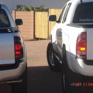 Tinted tails