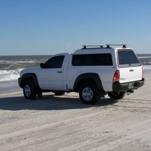 assateague_3-5-08_005