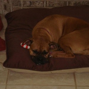 Allie1