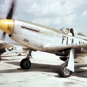 FLA_ANG_P-51D_a