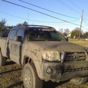 Muddy Tacoma