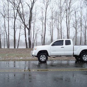 Snow Scene