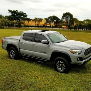 TheWarthog-4