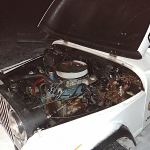 V8