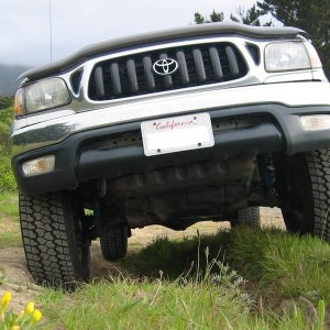 The Front