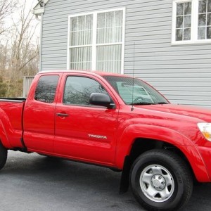 New Baby Taco