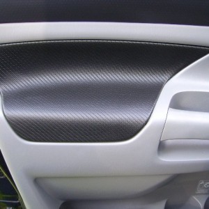 Door Panel Mod