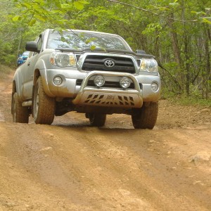 me on a trail.......i love mud puddles!!