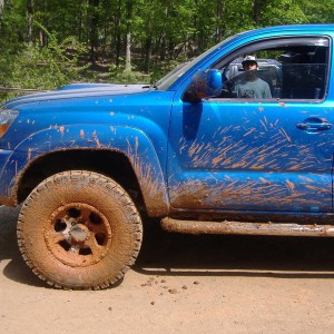 carolina pinstriping