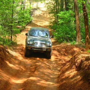 greenbean up a hill