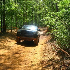 hodge in light mud
