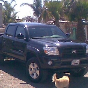 taco26