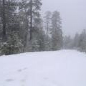 th_DSCN0390