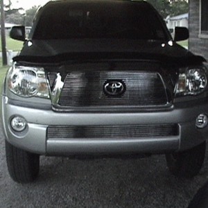 Stainless grille