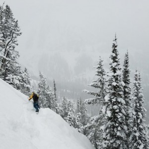 Bottomless powder today. Back country at its best