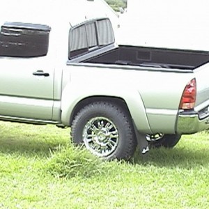Flexing_3_