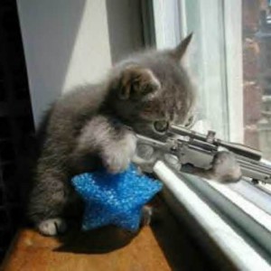 cat-machinegun