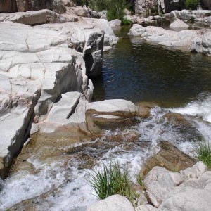 DSC01250