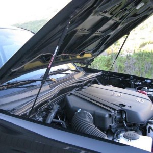 Hoodstruts