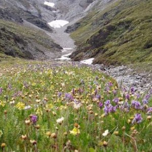 ANWR05
