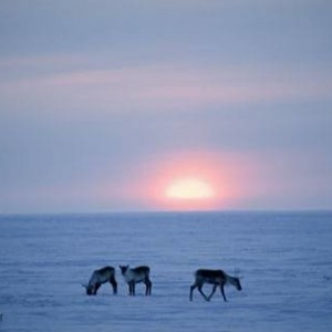 ANWR07