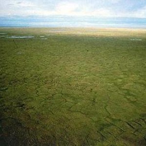 ANWR09