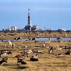 ANWR13