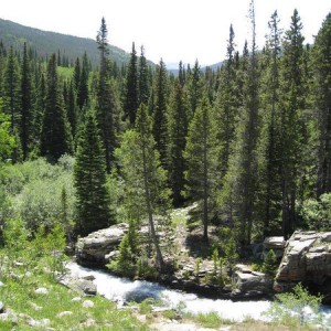 4th of July Trail #7