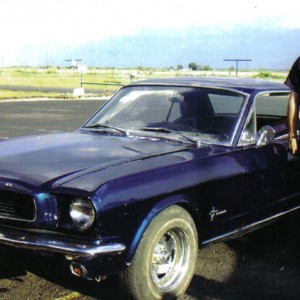 My mustang