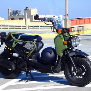 honda ruckus scooter