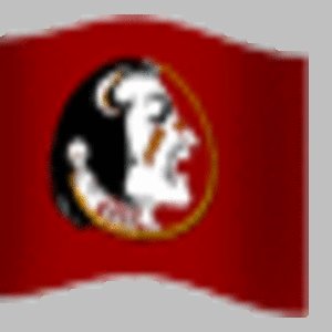 FSUFlag02