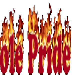 FSUPride