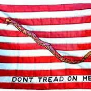Don_t_Tread_on_Me_flag
