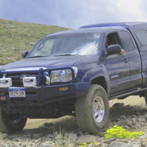 timberline