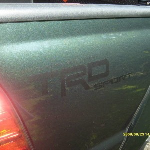 new decals