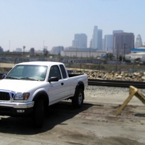 P8010020_edited_800x600