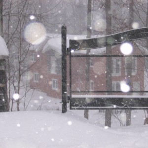 Winter
