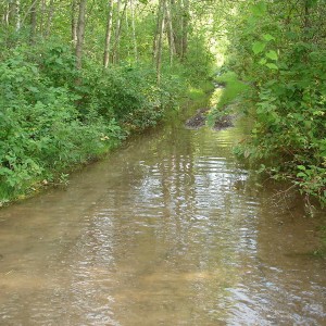 sweet flooded trail