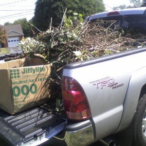 clearing brush 2
