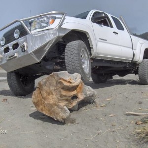 Flexing the suspension on some driftwood