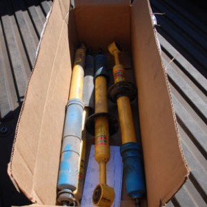 old_shocks