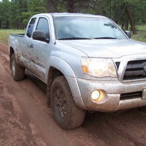 Fun in the mud.