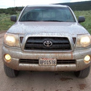 More fun in New Mexico.