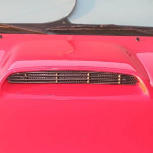 Hood Scoop